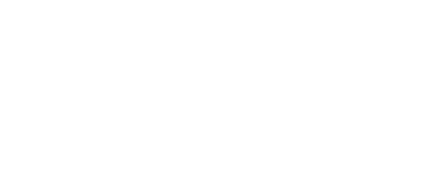 light logo